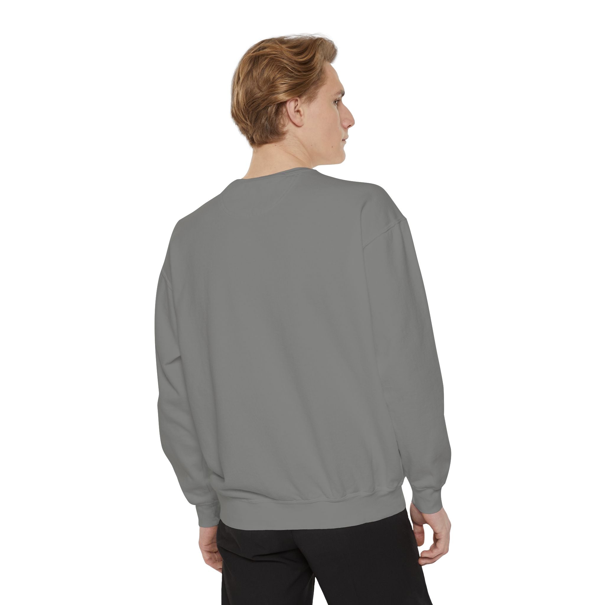 Unisex Sweatshirt Dayly Gray