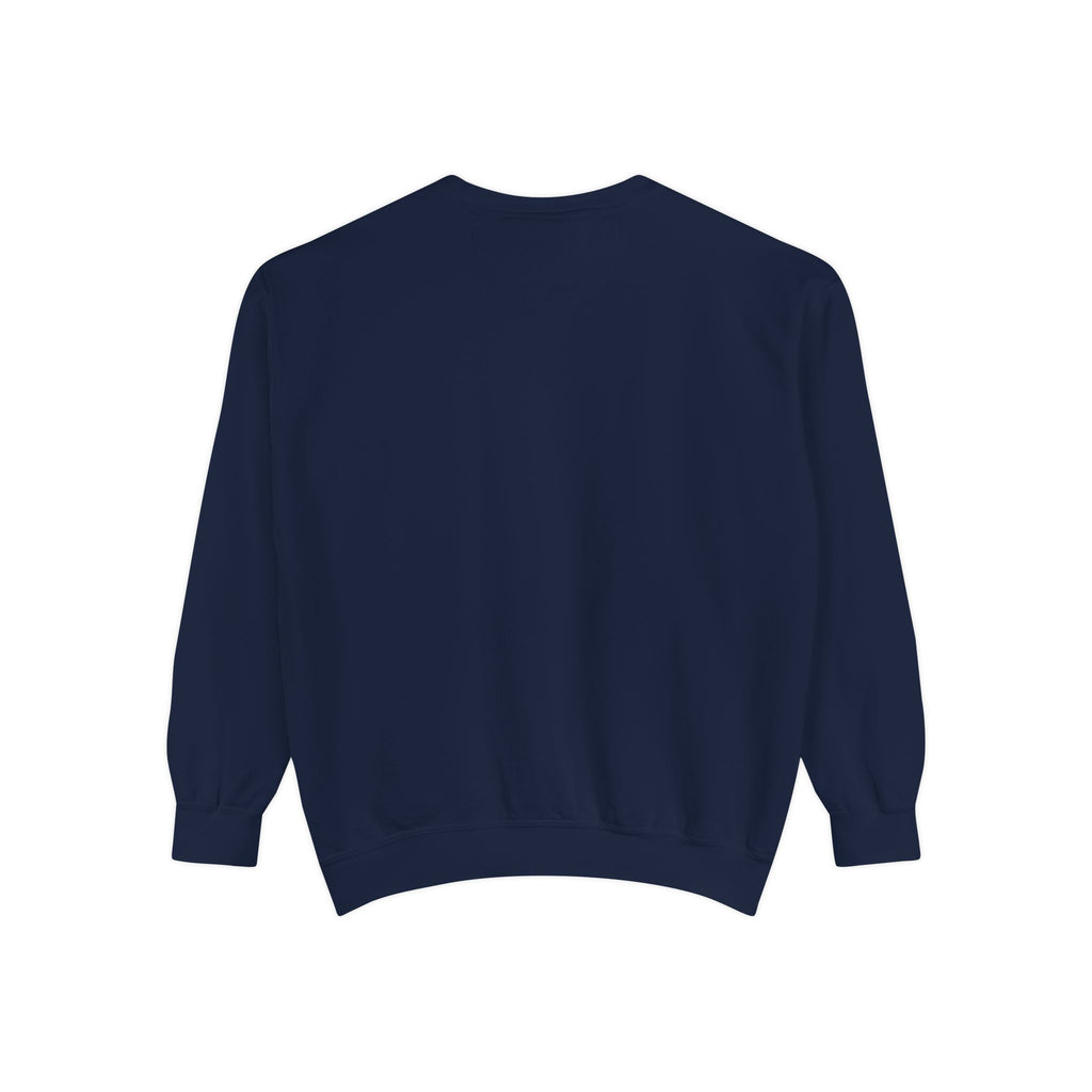 Unisex Sweatshirt Gray-Blue