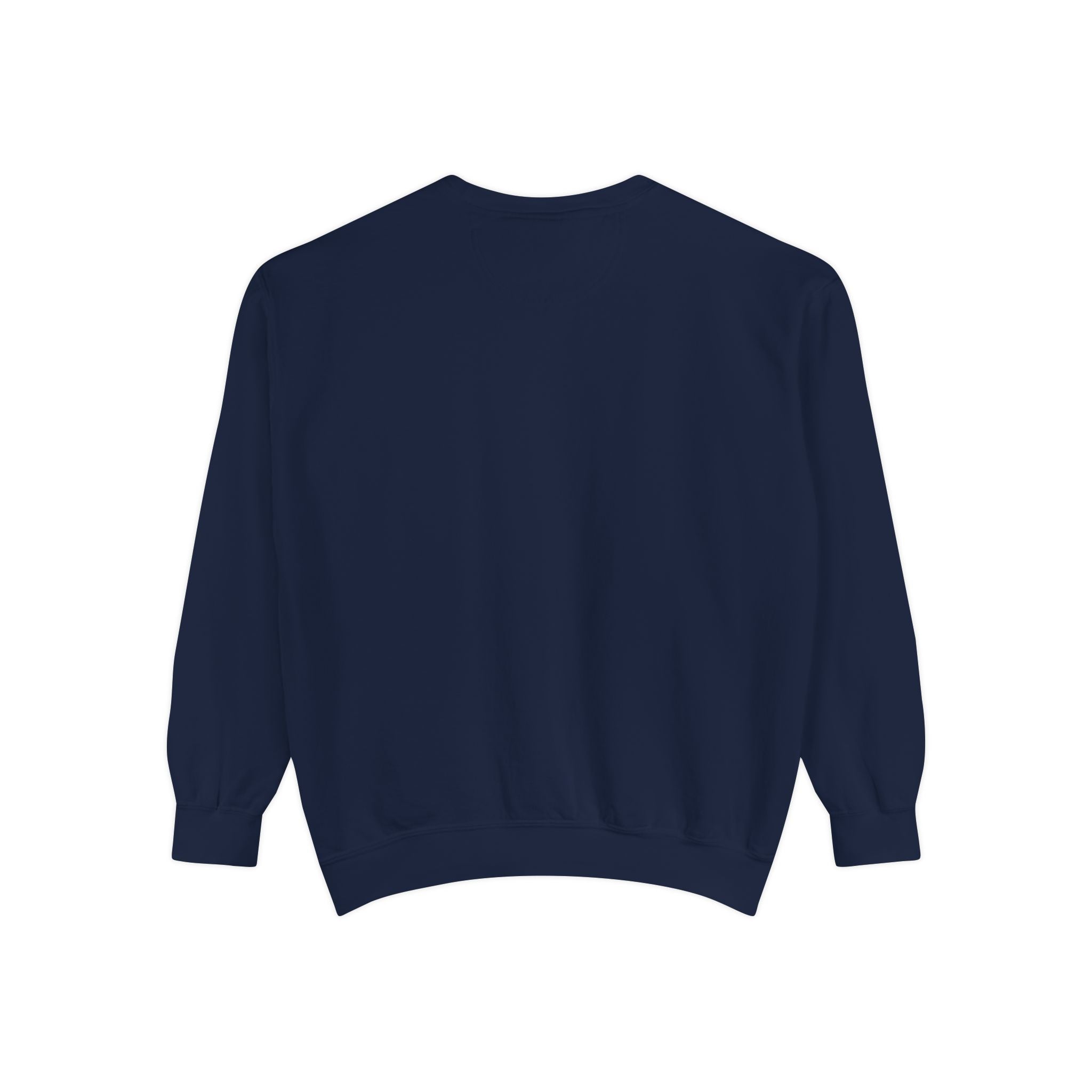 Unisex Sweatshirt Gray-Blue