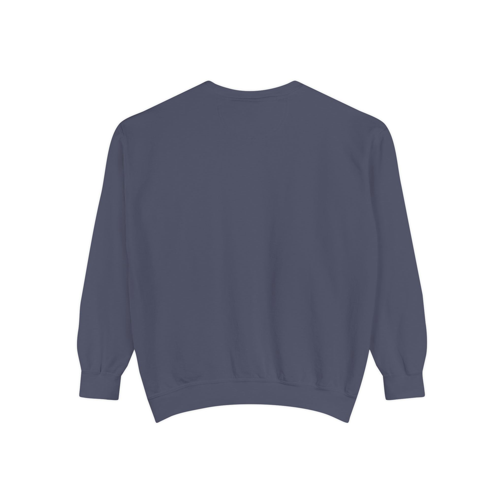 Unisex Sweatshirt Gray-Blue